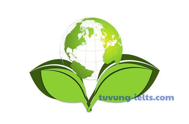 eco-friendly