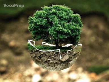 environment