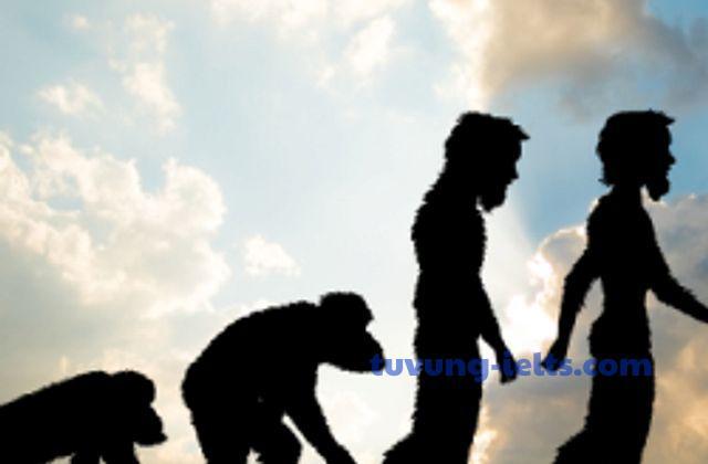 evolution