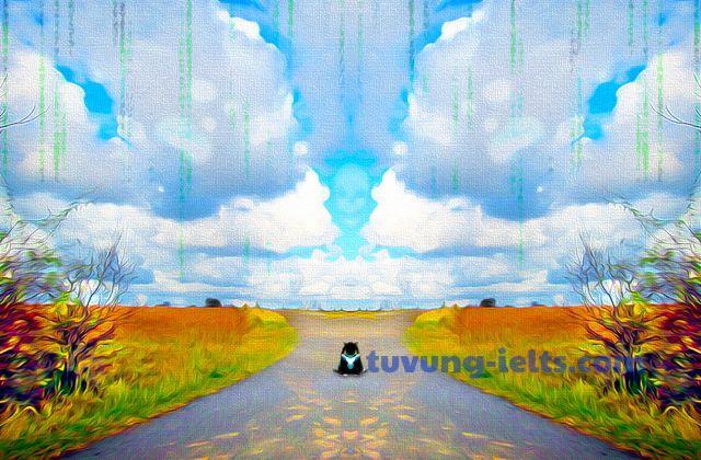 misinterpret