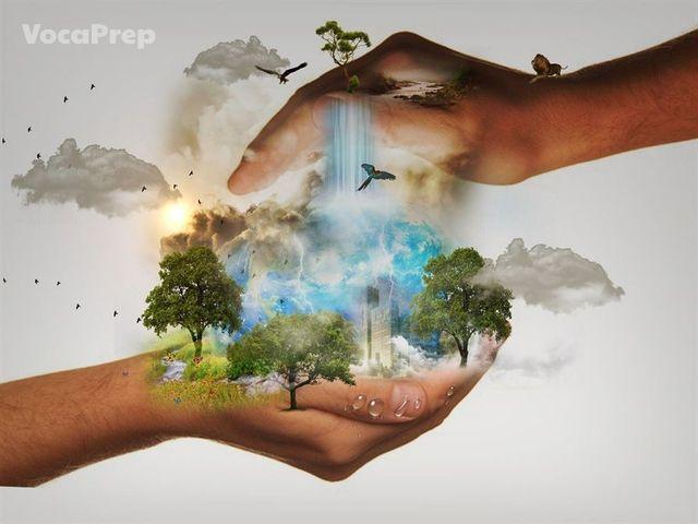 preserve