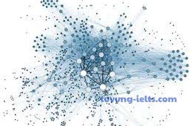 social system