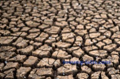 arid