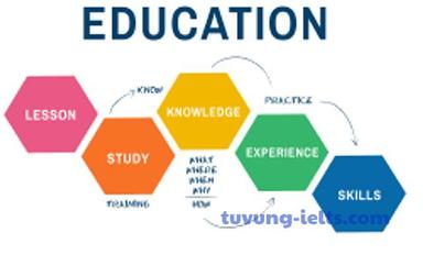 curriculum
