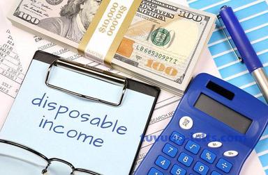 disposable income