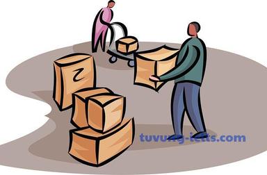 distributor