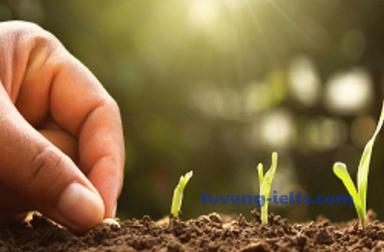 grow