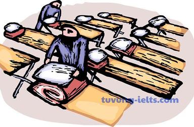 organise