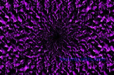 petal