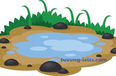 puddle
