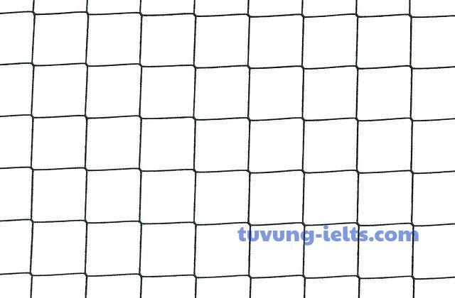 safety net