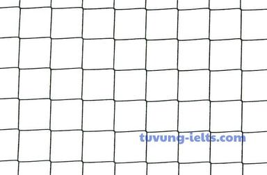 safety net