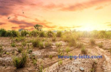semi-arid