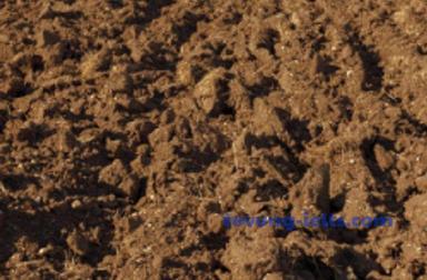 soil