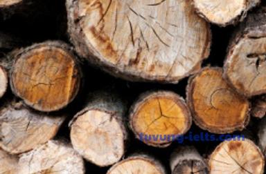 timber