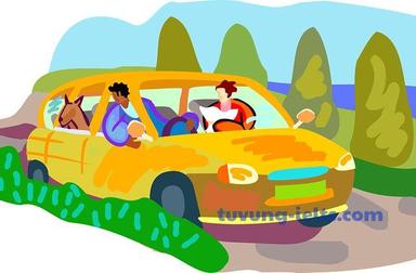 trip