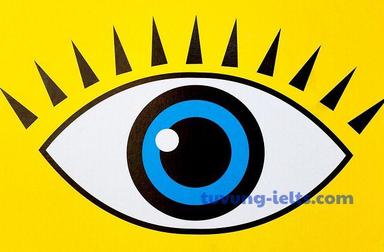 vision