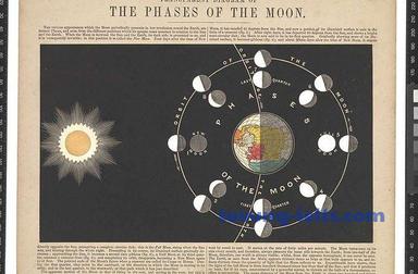 astronomical