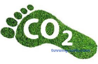 carbon footprint