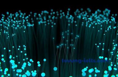 fibre