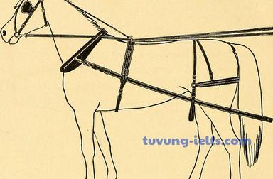 harness