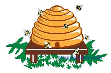 hive