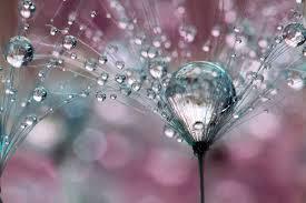 delicately