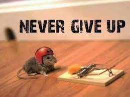 give up